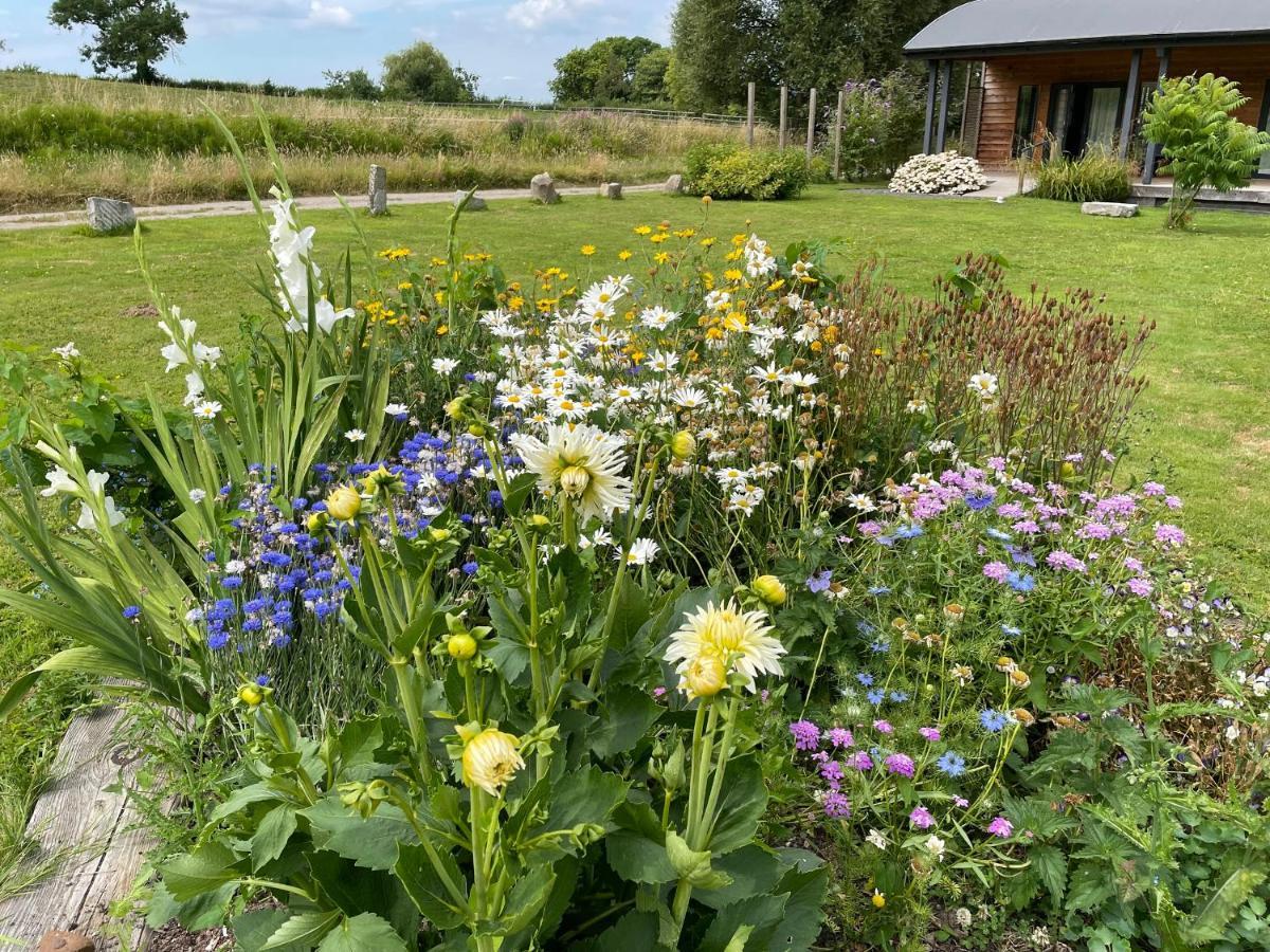 Foxglove Glastonbury Eksteriør billede